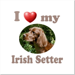 I Love My Irish Setter Posters and Art